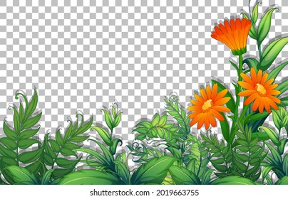 Flower And Tropica Leaves Frame Template On Transparent Background Illustration