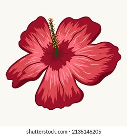 Flower tropical colorful drawing hand isolated vector illustration