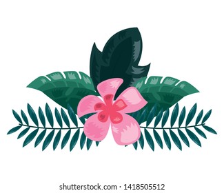 flower tropical leaves decoration on white background vector illustration