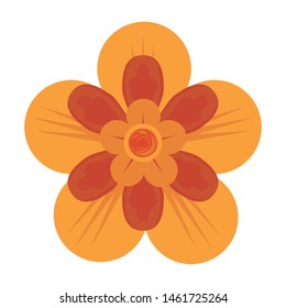 flower tropical spring orange floral cartoon vector illustration graphic design