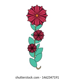 flower tropical spring red floral cartoon vector illustration graphic design