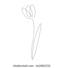 Flower tulip continuous line drawing vector illustration