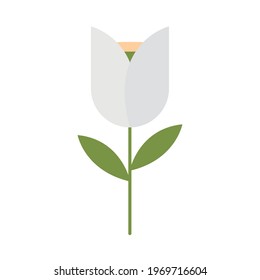 flower tulip decoration isolated icon