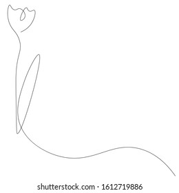Flower tulip line drawing vector illustration