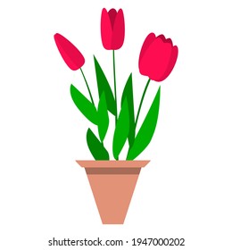 Flower, tulip in a flower pot. Isolated on a white background. Spring. Season. Flat illustration.