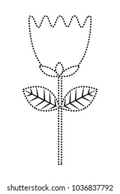 flower tulip stem petals decoration
