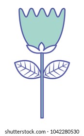 flower tulip stem petals decoration