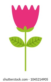 flower tulip stem petals decoration vector illustration