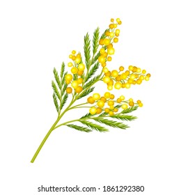 Flower Twig with Small Yellow Florets and Green Leaves Vector Illustration