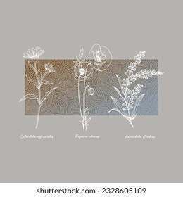 Flower typography slogan for t shirt printing, tee graphic design.  