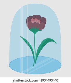 A flower under a glass cover. Red Rose. History of Beauty and the Beast. Vector.