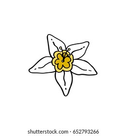 flower of vanilla doodle icon