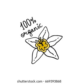 flower of vanilla doodle icon