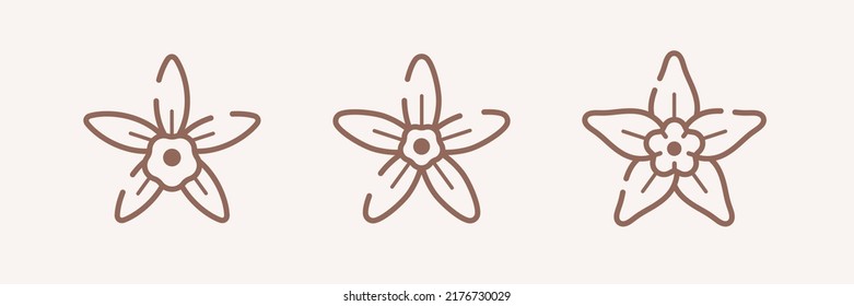 La flor de vainilla. Emblema de vector de contorno simple para cosméticos, perfusiones y envasado de alimentos.