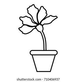 Flower in vase