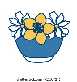 Flower in vase