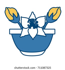 Flower in vase