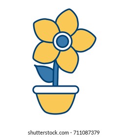 Flower in vase
