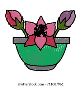 Flower in vase