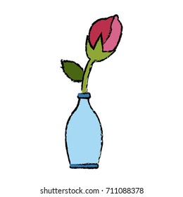 Flower in vase