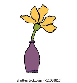 Flower in vase
