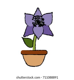 Flower in vase