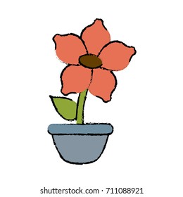 Flower in vase