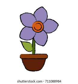 Flower in vase