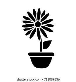 Flower in vase