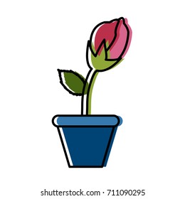Flower in vase