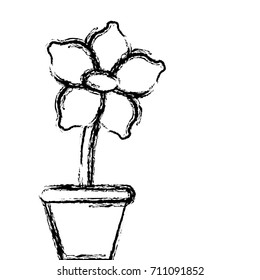 Flower in vase