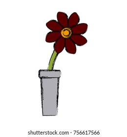 Flower in vase