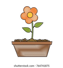 Flower in vase