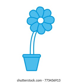 Flower in vase