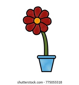 Flower in vase