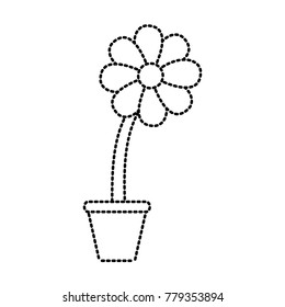 Flower in vase