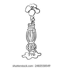 Flower in vase and bottle doodle illustration including different floral bouquets. Hand drawn cute line art outline plants in interior. Spring field bloom. Linear drawing for coloring. Vector isolated