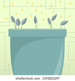 Flower Vase With Herbs Watered By Drops From Top. Liquid Being Poured Over Large Plant Pot. Fresh Grown Seeds Strengthen Leaves Over Container Edges.