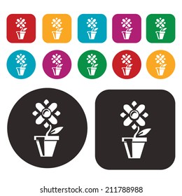 Flower vase icon