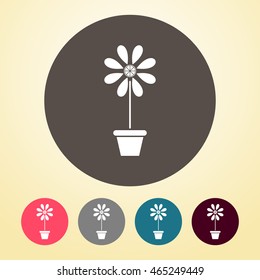 Flower Vase Icon in round shape.