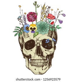 Flower vase made in skull . Hand-drawn vector illustration with field grass for your unusual design.