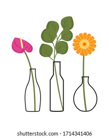 Flower in a vase on white background. Anthurium flower, gerbera, eucalyptus branch in vases.