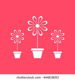 Flower Vase white icon on magenta color background. Eps-10.