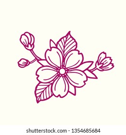 flower in vector