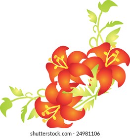 flower vector