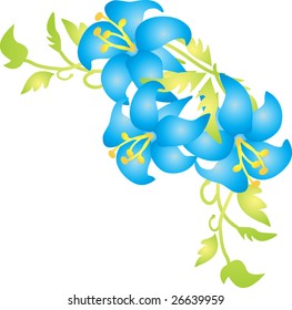 flower vector