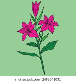 Arte vectorial de flores e ilustrador