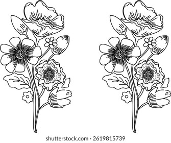 Flower Vector Art Of Line Art 