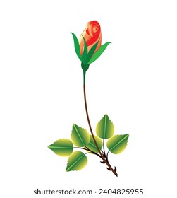 arte vectorial de flores, flor rosa