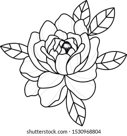 flower vector art work sketch flash 